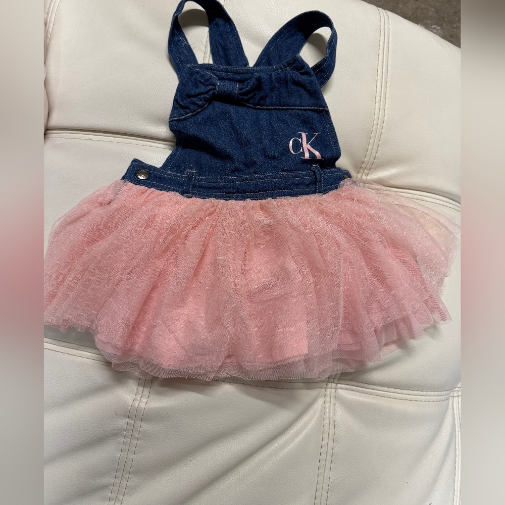Calvin Klein Blue and Pink Tulle Dress